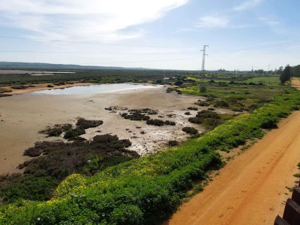SENDERO MARISMAS ODIEL