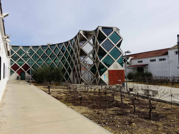 MUSEO DEL VINO