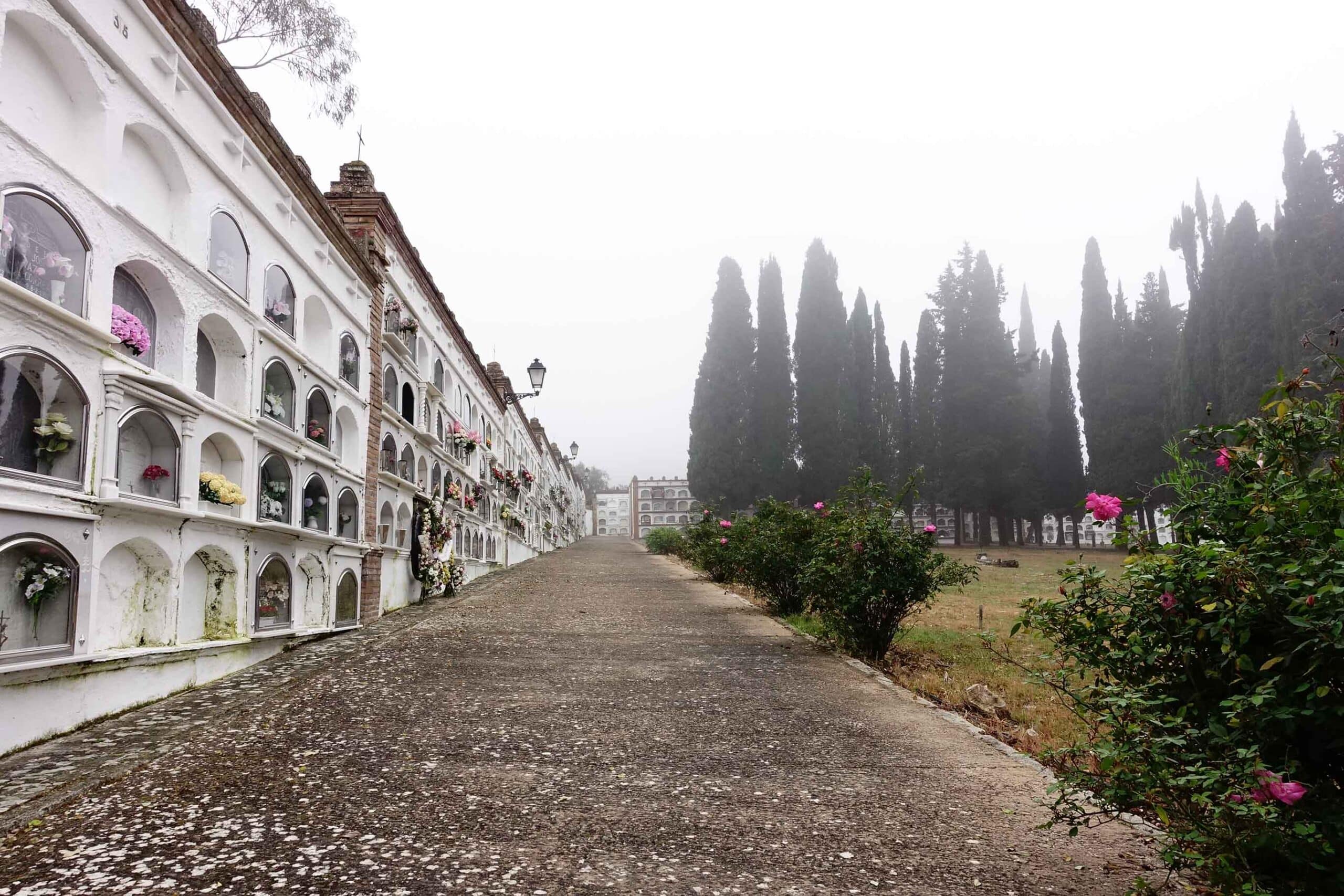 00003CEMENTERIO ALMONASTER