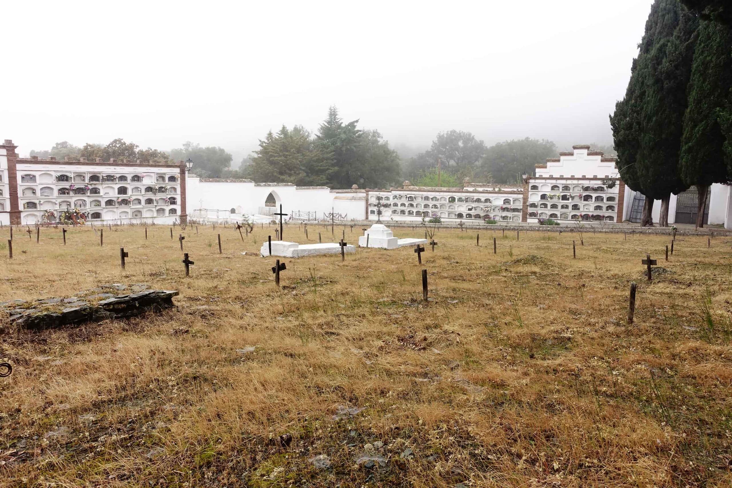 00004CEMENTERIO ALMONASTER