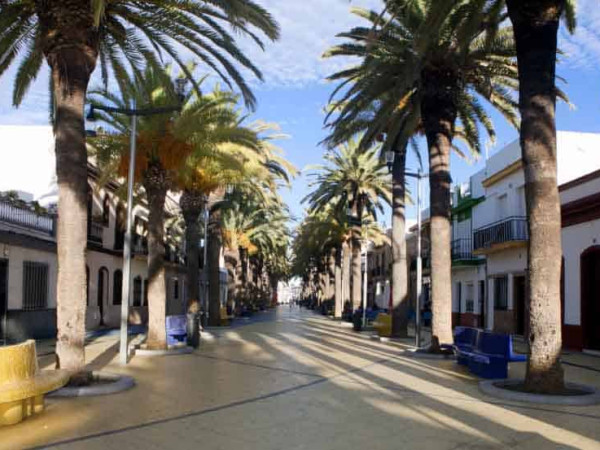 PASEO DE LAS PALMERAS