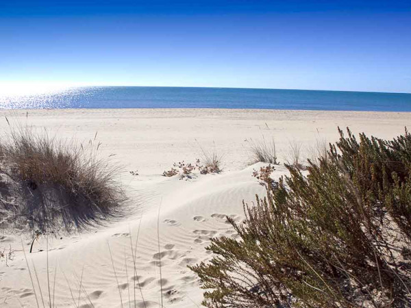 PLAYAS DE ISLA CRISTINA