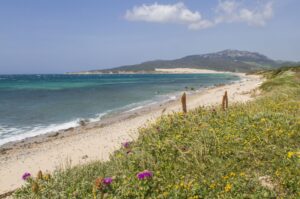 Playa del dulce Nombre XX