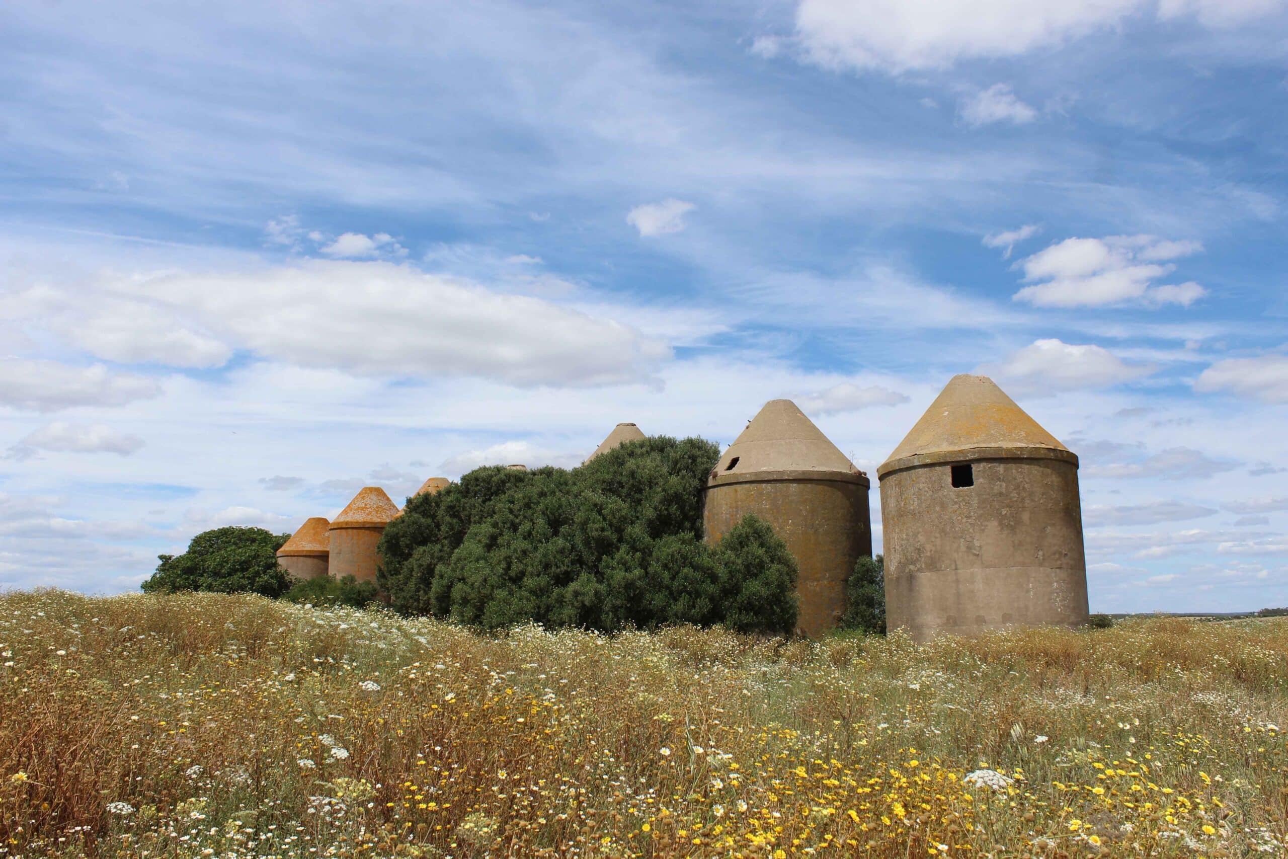 00008SILOS MILENARIOS