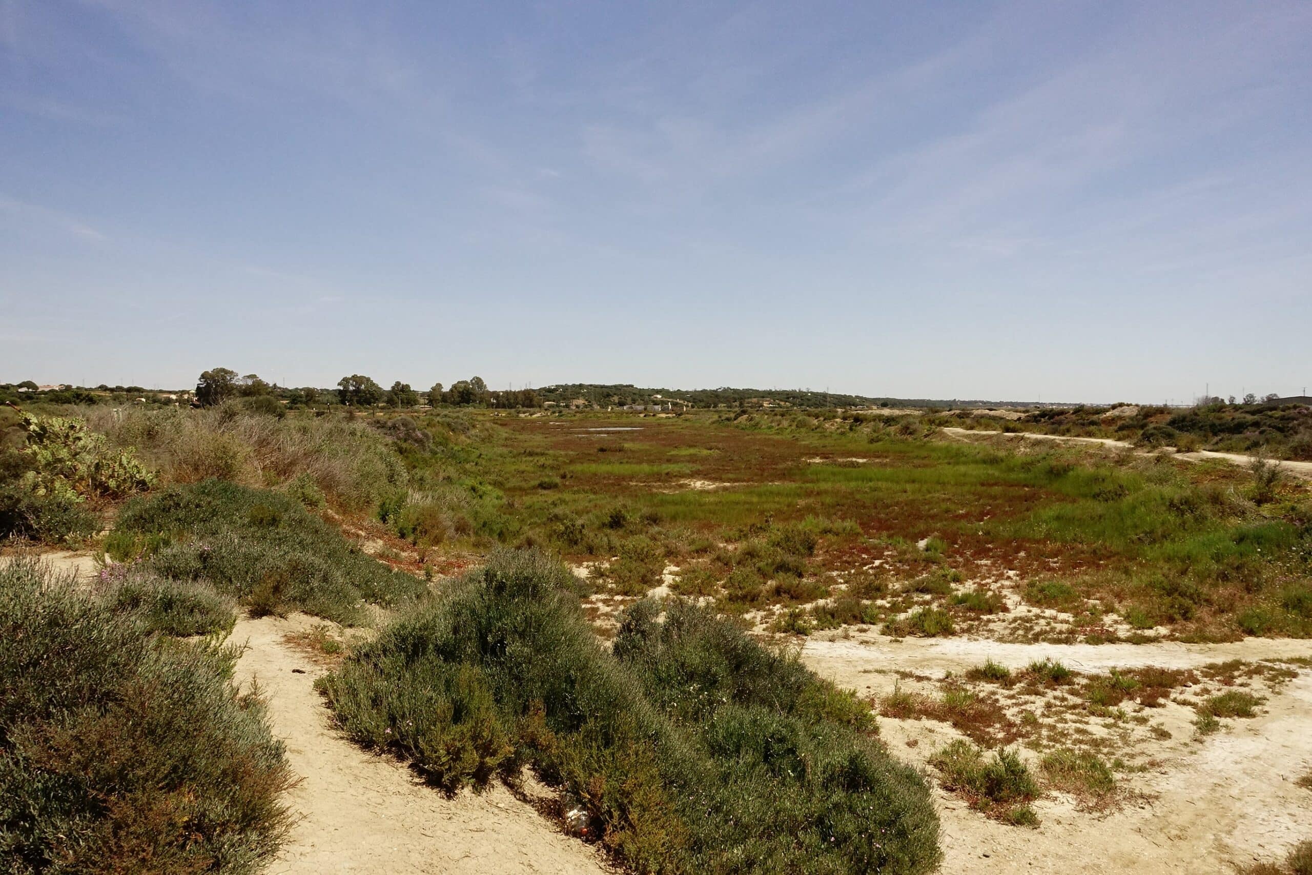 Ecomuseo del Pintado 3-min