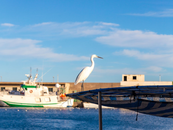 Puerto Pesquero
