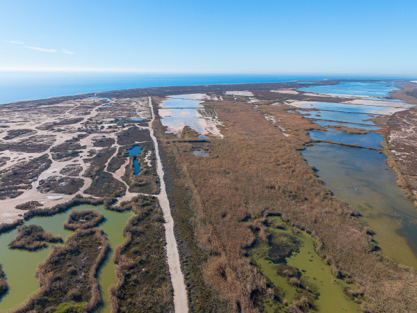Punta Entinas Sabinar
