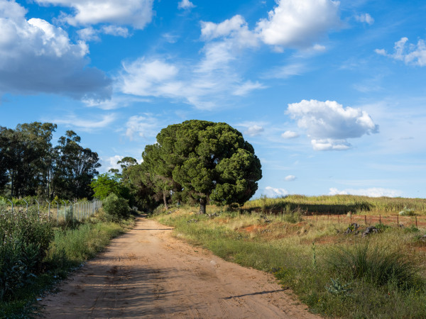 Caminos y senderos