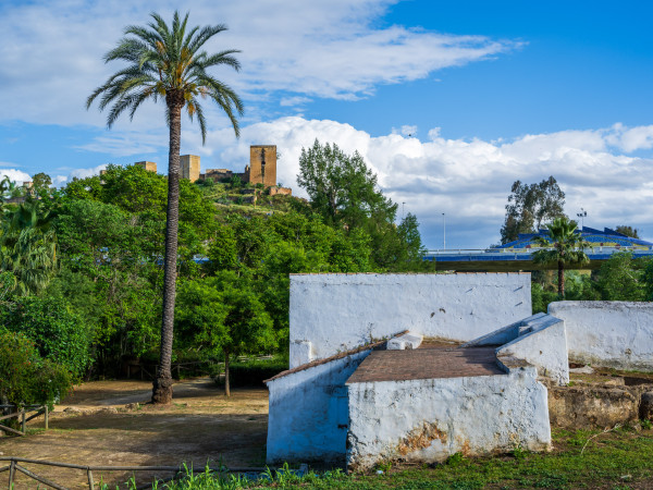 Molino Vadalejos