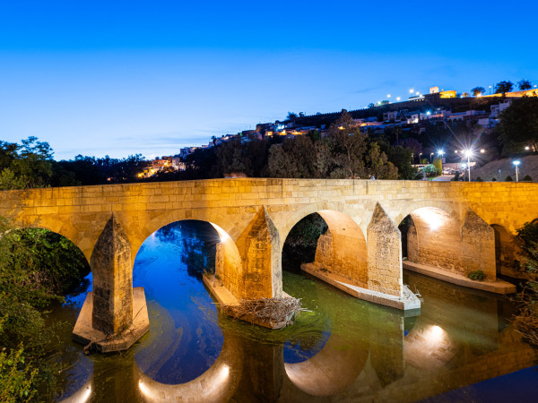 Puente de Carlos III