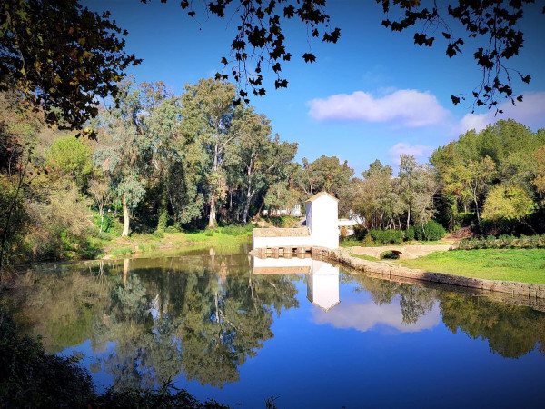 Molino de Benarosa