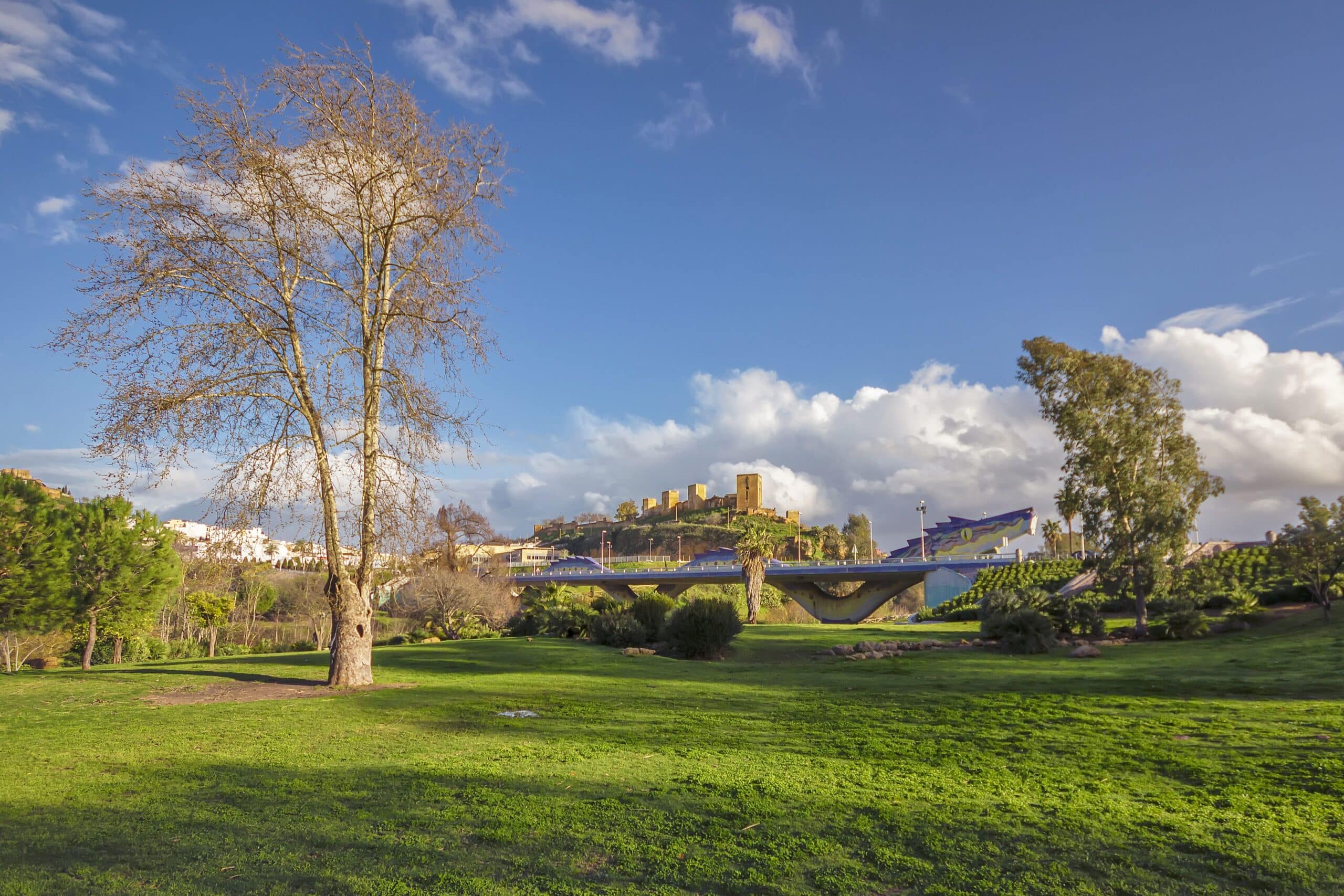 Rob-castillo y puente dragon