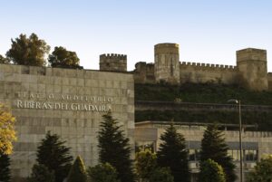 auditorio-castillo-gabcom-scaled