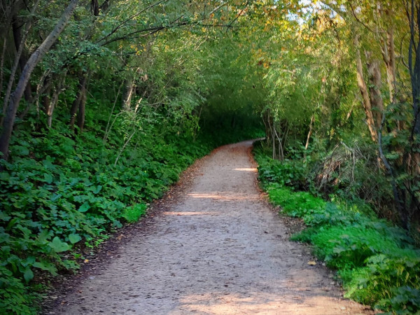 Ribera del Río Guadaíra