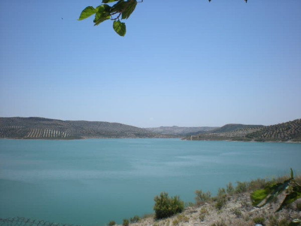 Pantano de Vadomojón. Albendín
