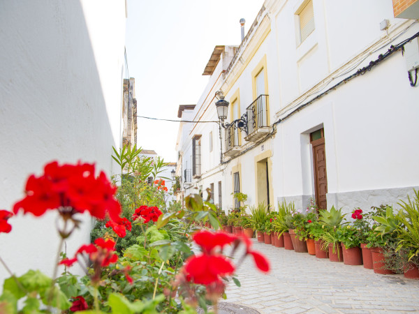 Calle Gravina