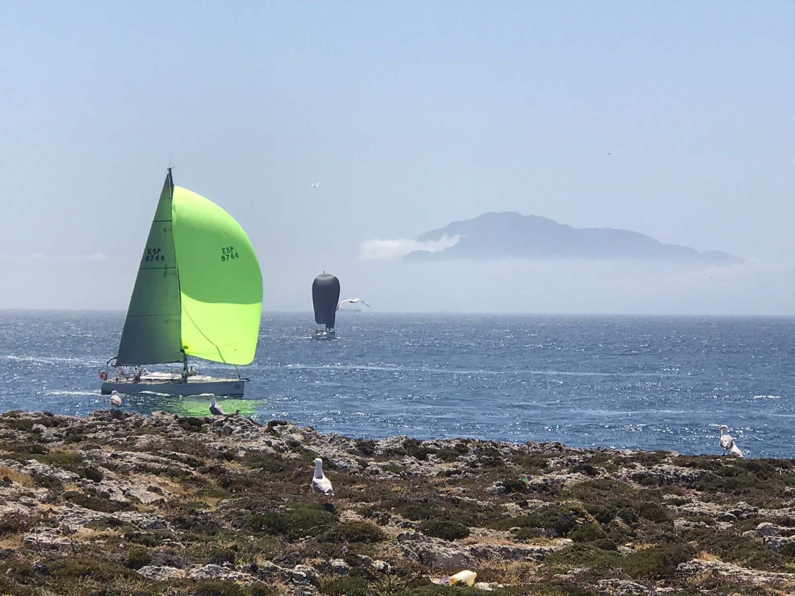 Foto vistas desde Isla BARCO VELA VERDA