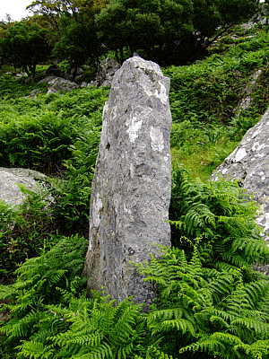 PREHISTORIA