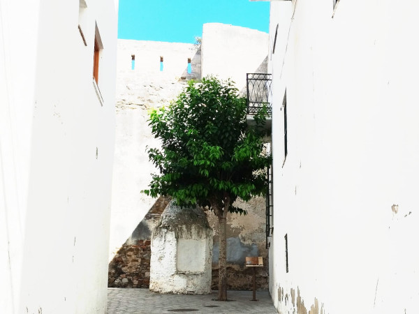 Calle Pozo