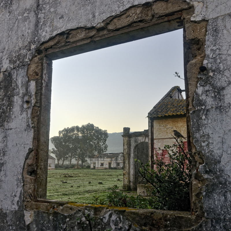 campamento militar facinas 3