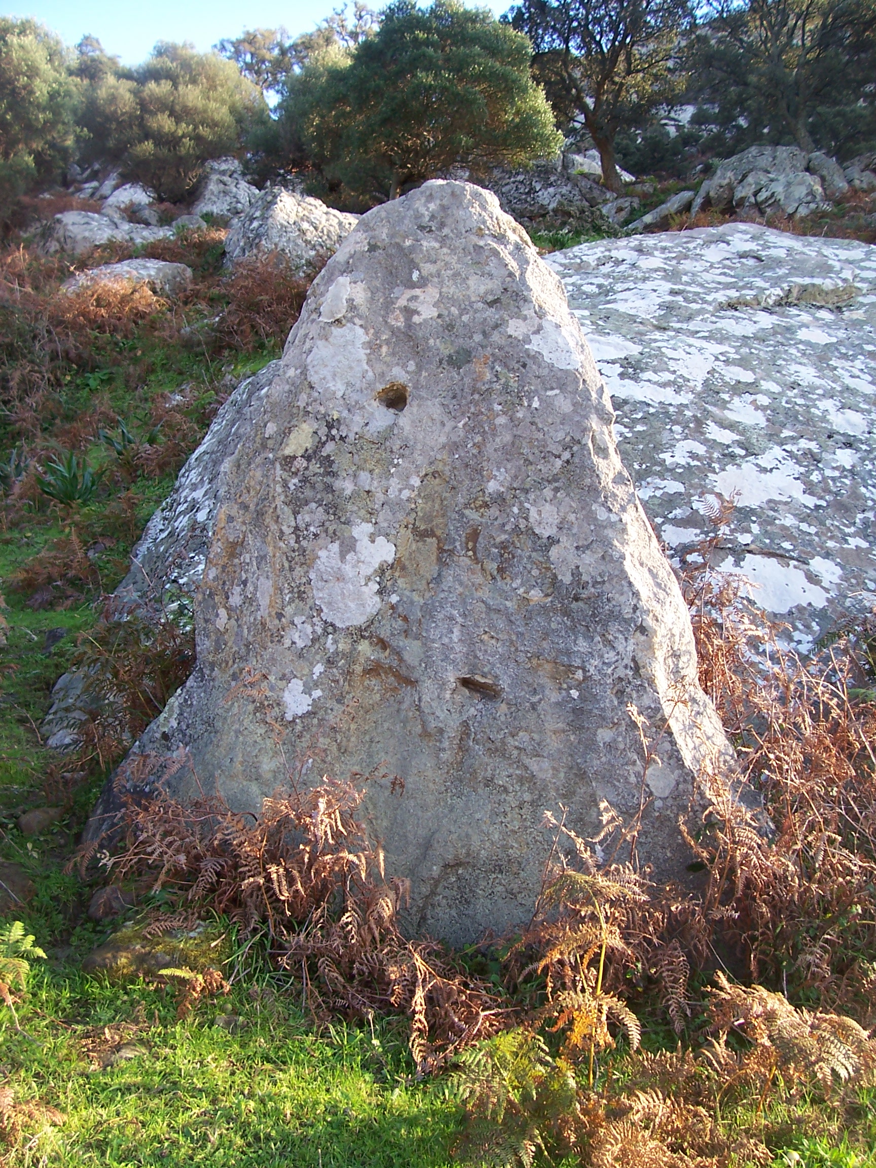 facinas-cabrerizas-038