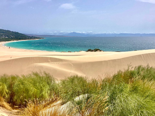 DUNA DE PUNTA PALOMA