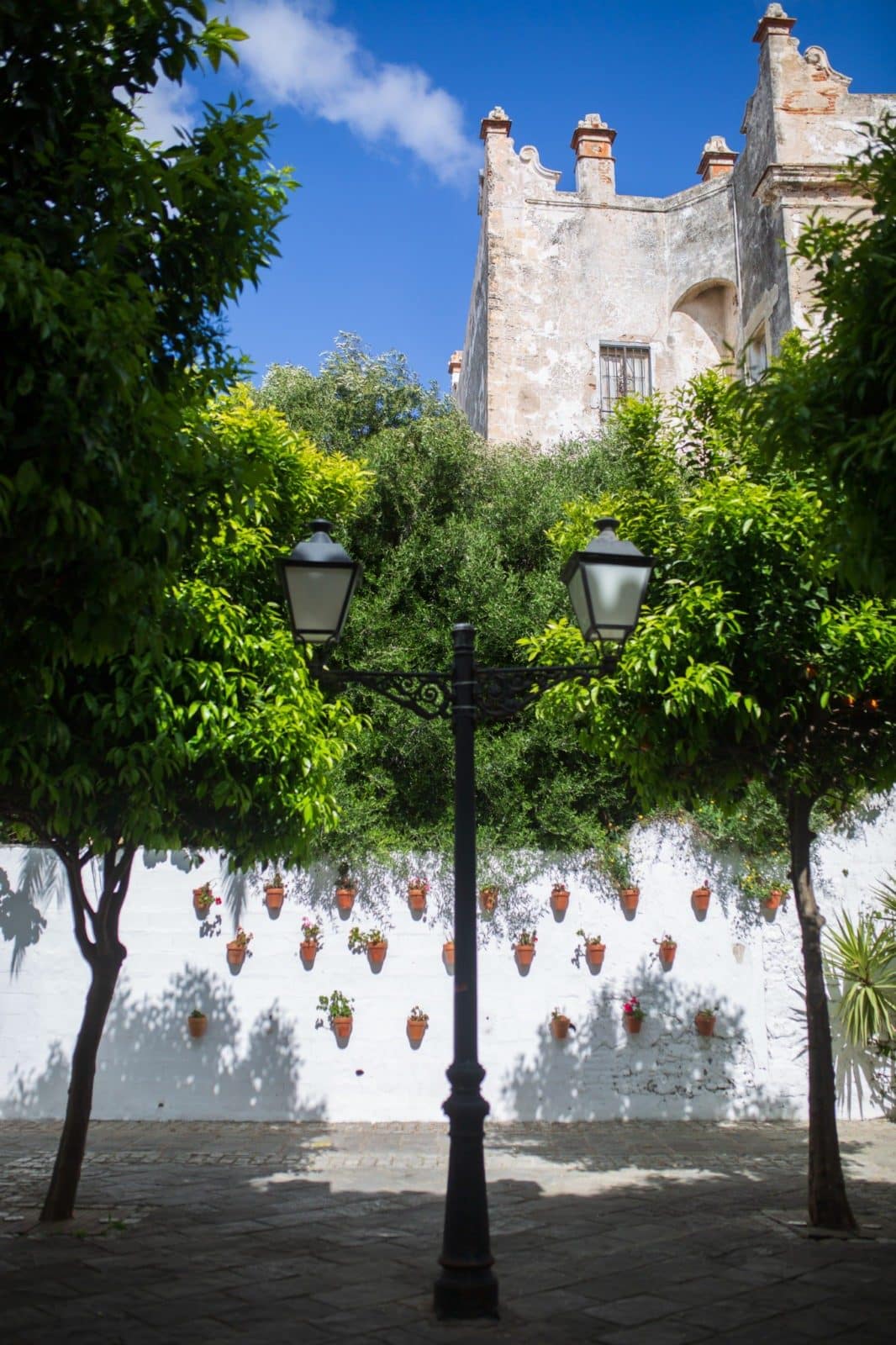 CALLE CALDERON DE LA BARCA PLAZA.