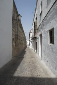 CALLES-1