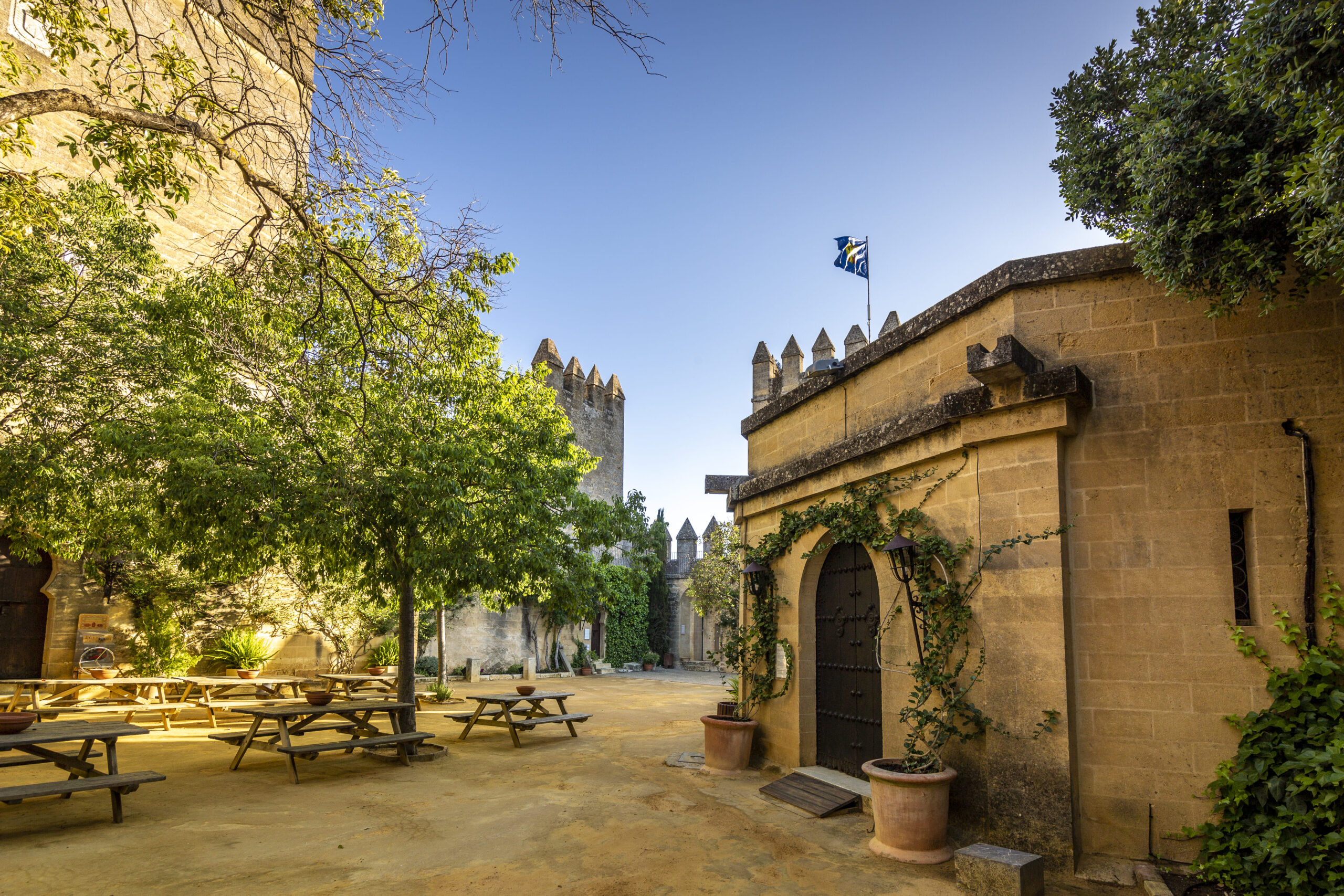 Patio de Albero