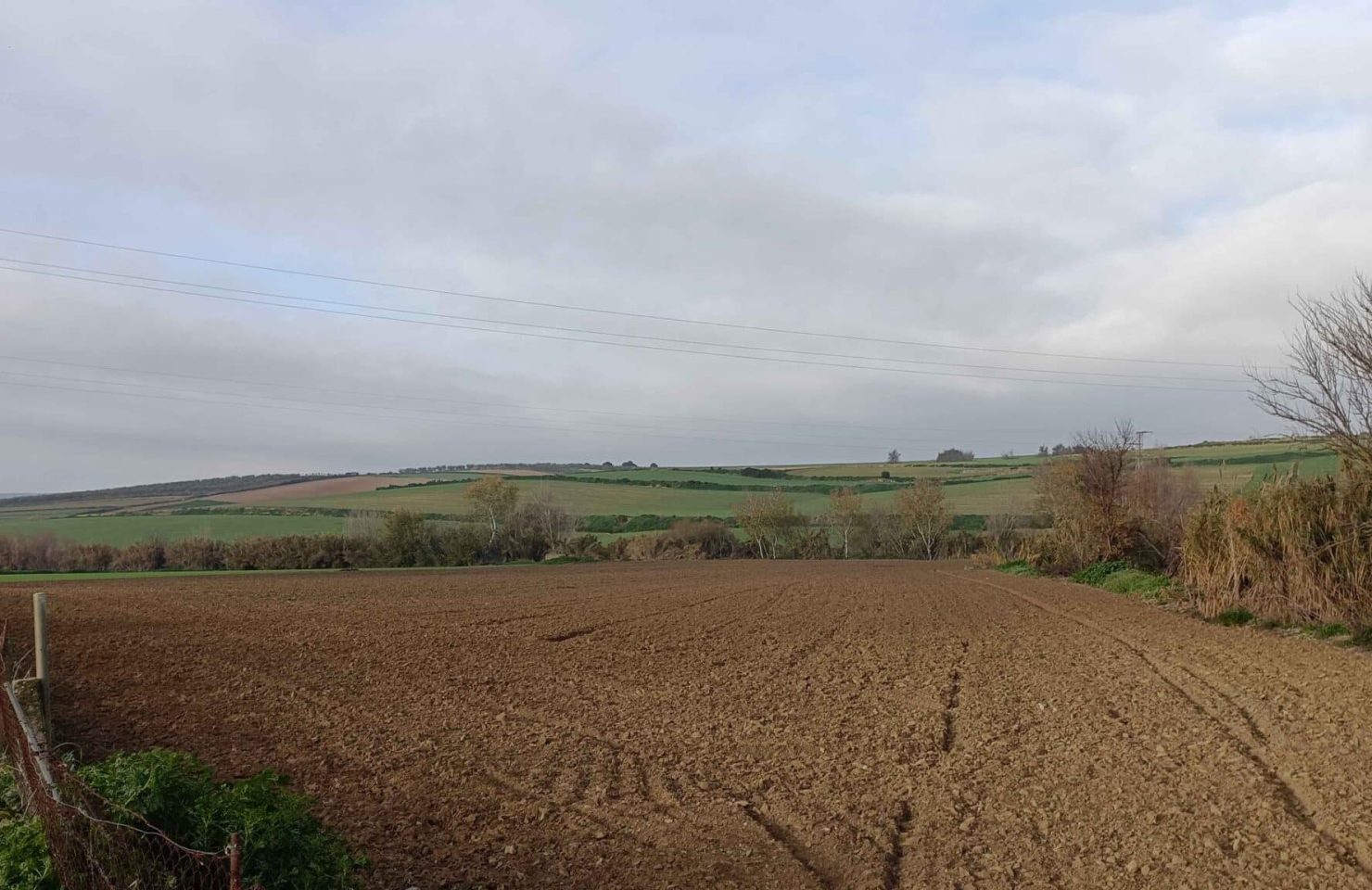 00001AVENIDA CIUDAD DE TEJADA