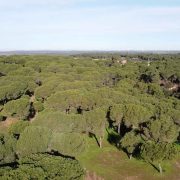 00001PINARES VILLABLANCA