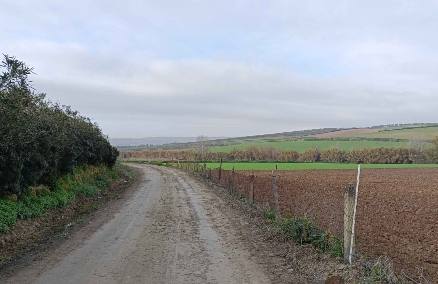 00002AVENIDA CIUDAD DE TEJADA