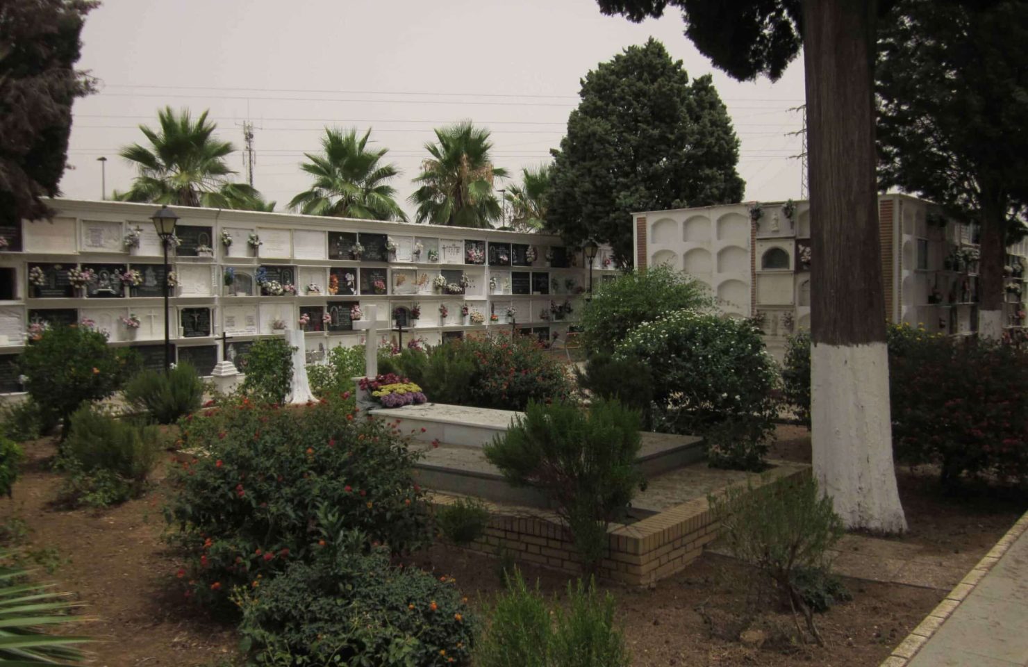 00003CEMENTERIO SAN JUAN DEL PUERTO