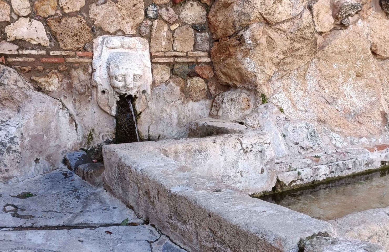 00003PILAR DEL CONCEJO