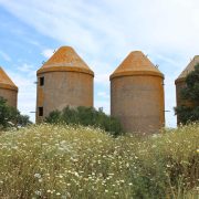 00003SILOS MILENARIOS