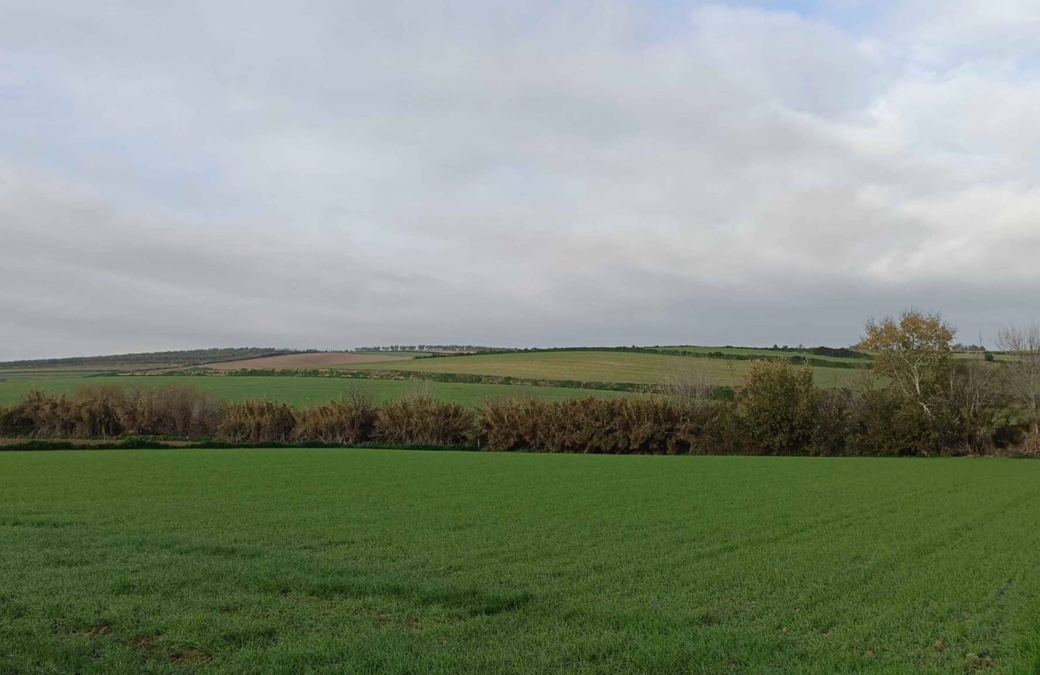 00004AVENIDA CIUDAD DE TEJADA