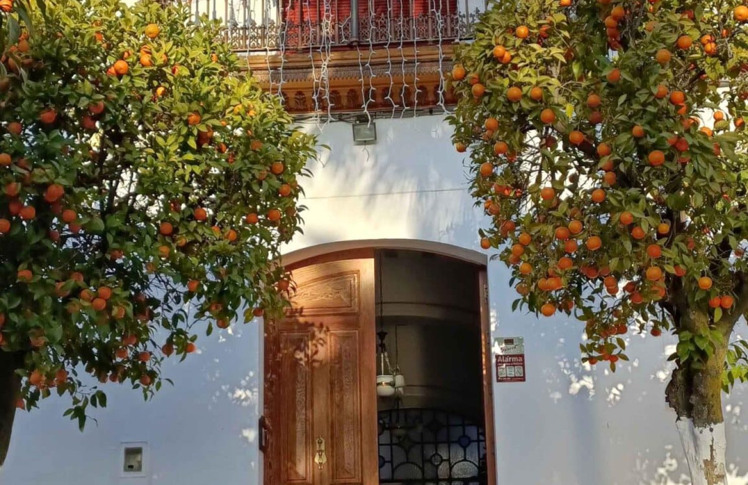 00004AYUNTAMIENTO PATERNA DEL CAMPO