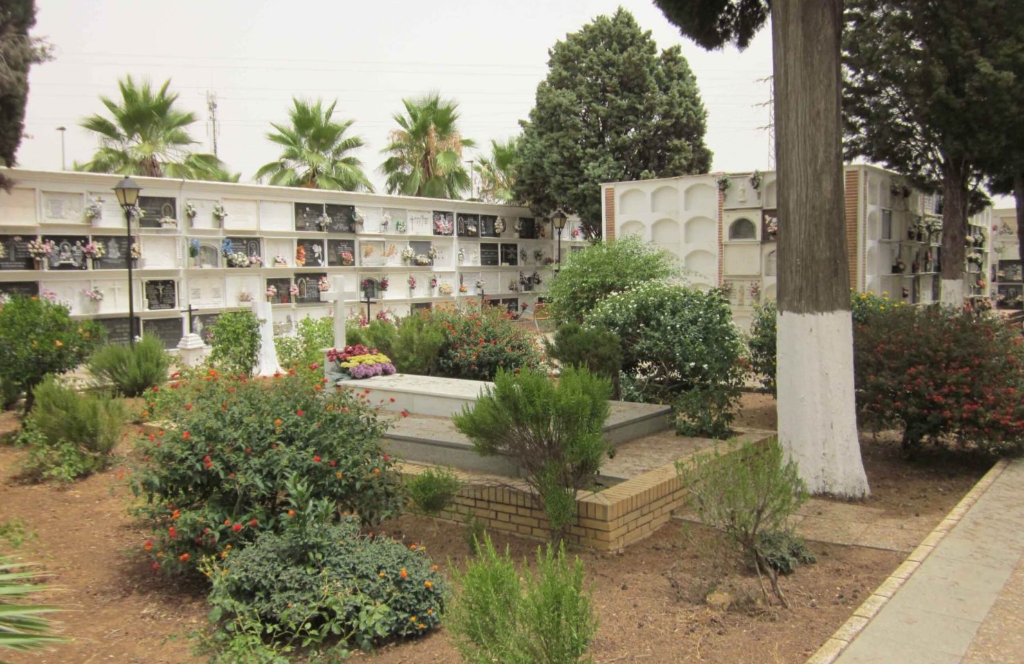 00004CEMENTERIO SAN JUAN DEL PUERTO