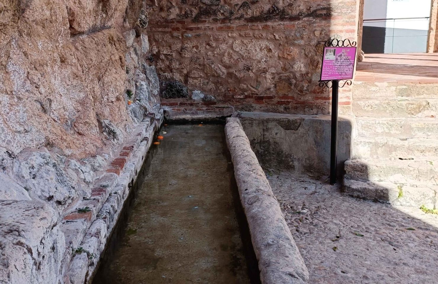 00004PILAR DEL CONCEJO