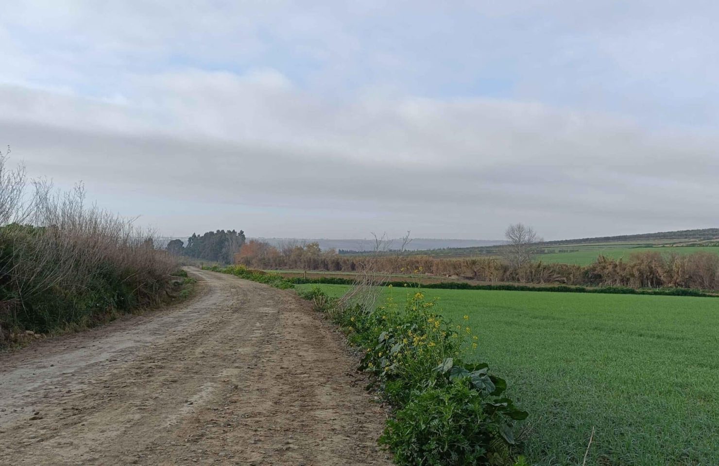 00005AVENIDA CIUDAD DE TEJADA