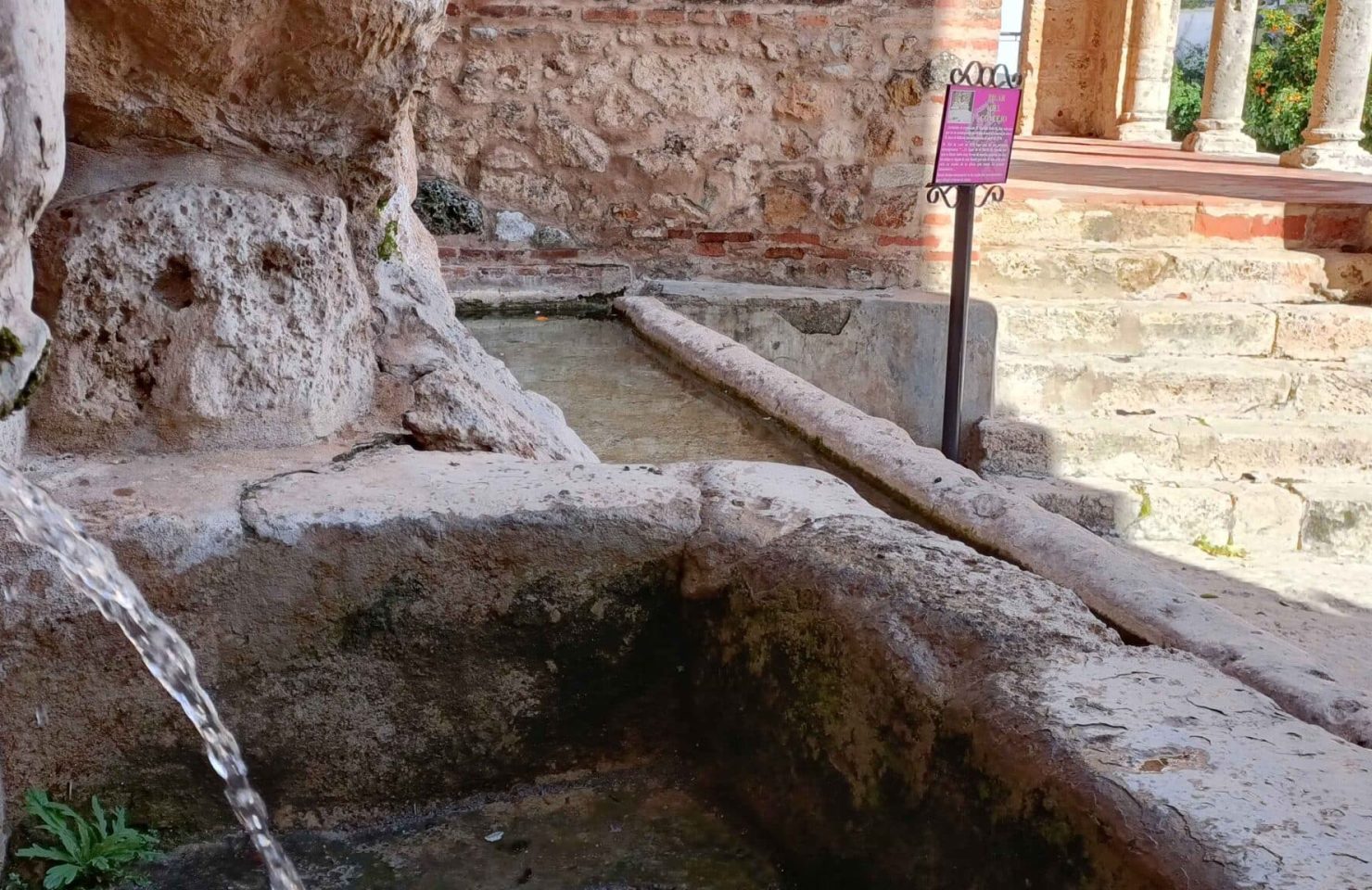 00005PILAR DEL CONCEJO