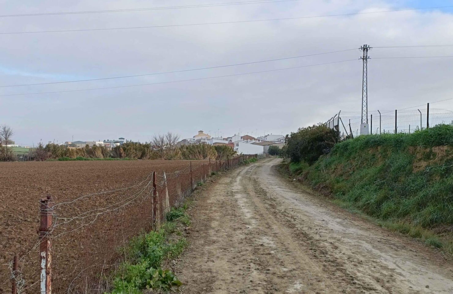 00006AVENIDA CIUDAD DE TEJADA