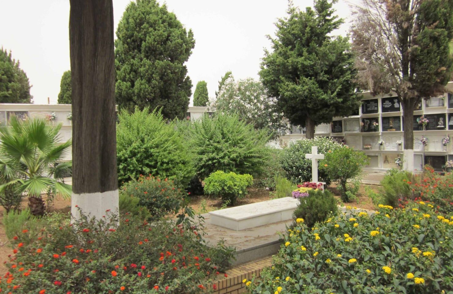 00008CEMENTERIO SAN JUAN DEL PUERTO