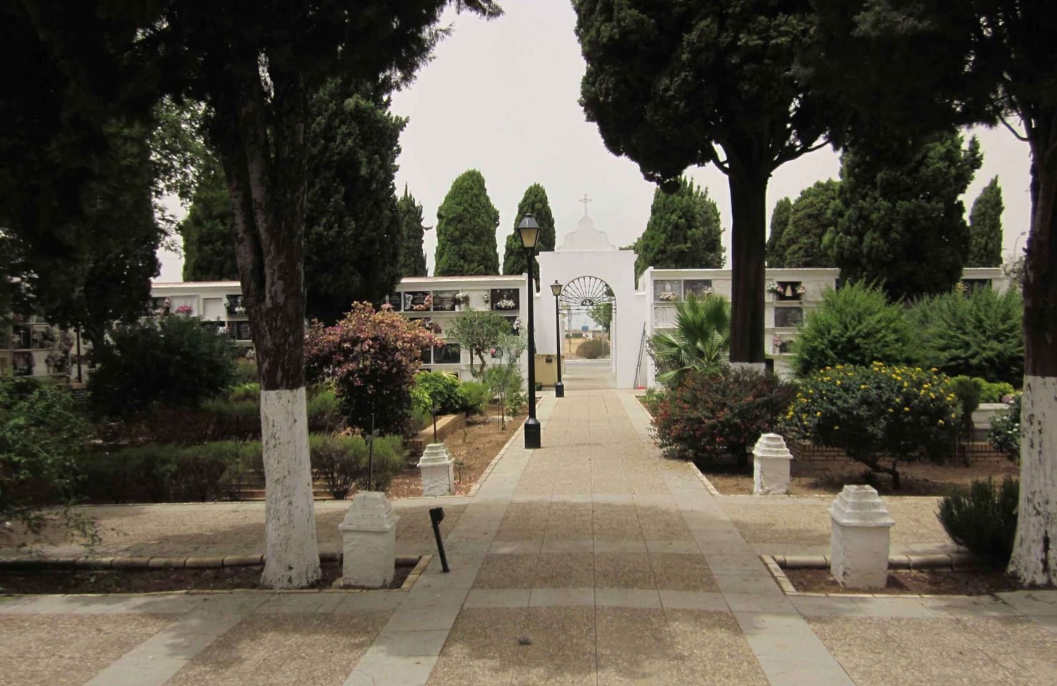 00009CEMENTERIO SAN JUAN DEL PUERTO