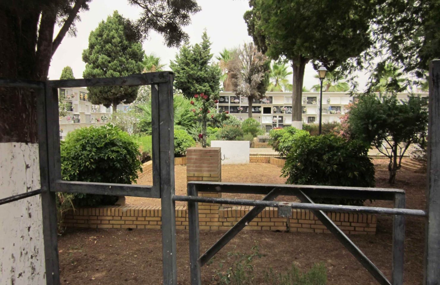 00012CEMENTERIO SAN JUAN DEL PUERTO