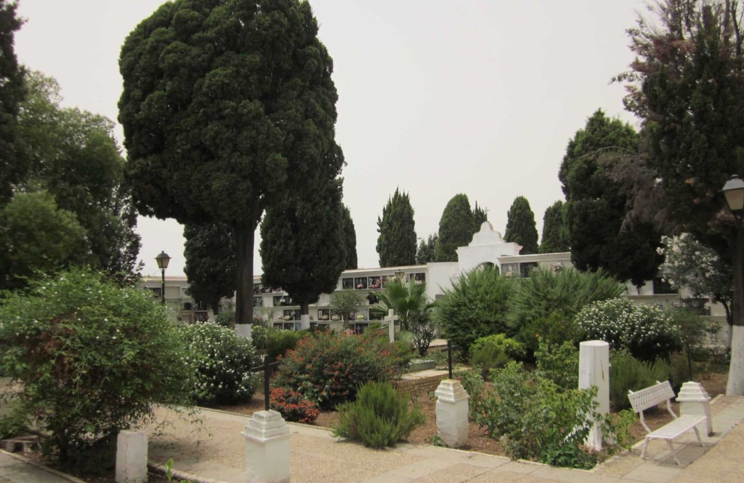 00019CEMENTERIO SAN JUAN DEL PUERTO