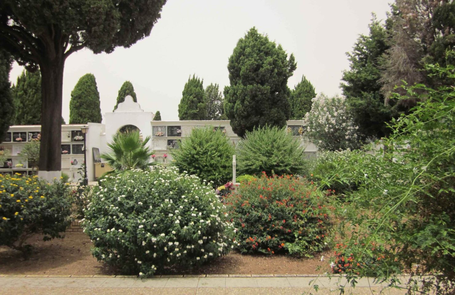 00021CEMENTERIO SAN JUAN DEL PUERTO