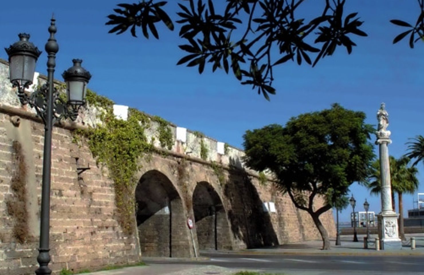 115 MURALLAS SAN CARLOS