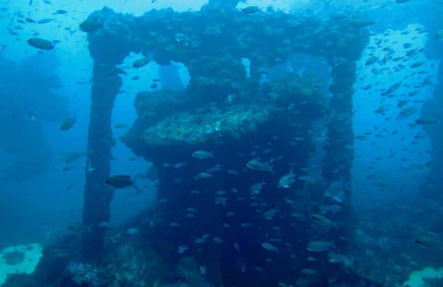 32205754_983910608451827_2305954077067968512_n