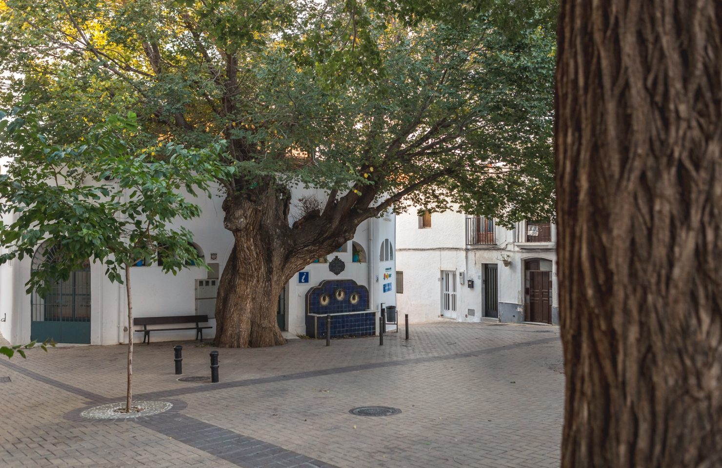 AL_Nijar_Casco_Antiguo (7 de 21)